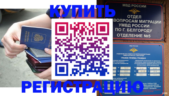 найти адрес прописки в Курске